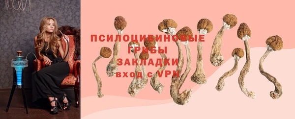 ешки Алексеевка